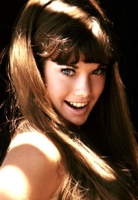 barbi benton nude playboy|Stunning Photos of a Young Barbi Benton in the 1970s and 1980s